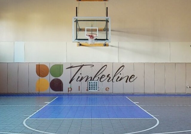 Basketball Court